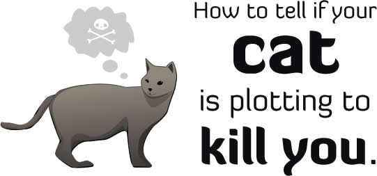 How to Tell Your Cat is Plotting to Kill You